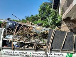 Professional Junk Removal Services in Lake Village, AR
