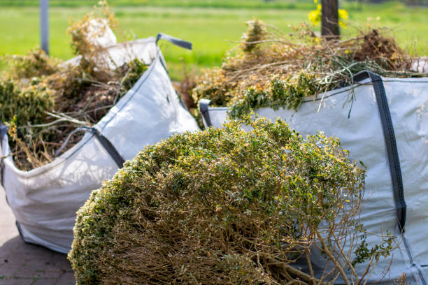 Best Shed Removal  in Lake Village, AR